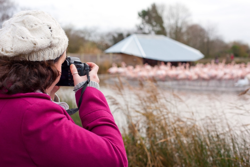 North West Wetland Photographer competition winners announced